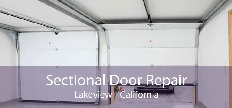Sectional Door Repair Lakeview - California