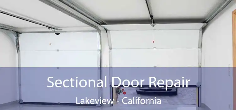 Sectional Door Repair Lakeview - California