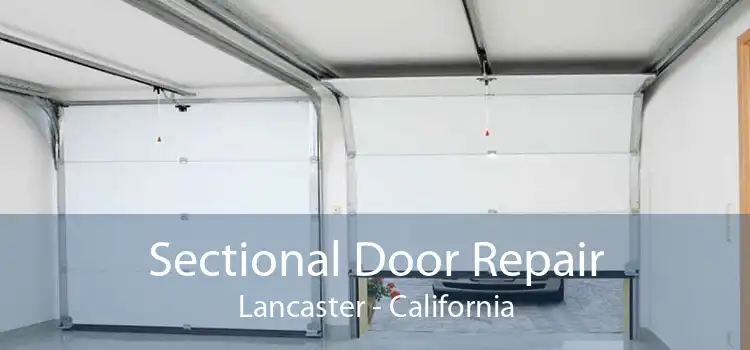 Sectional Door Repair Lancaster - California