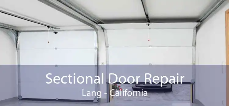 Sectional Door Repair Lang - California
