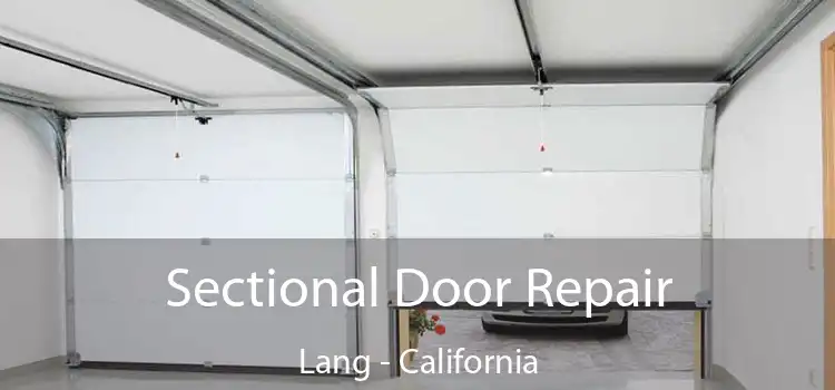 Sectional Door Repair Lang - California