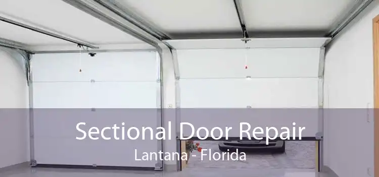 Sectional Door Repair Lantana - Florida