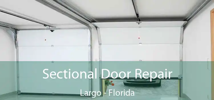 Sectional Door Repair Largo - Florida