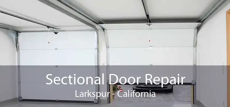 Sectional Door Repair Larkspur - California
