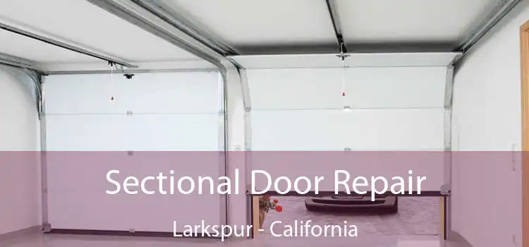 Sectional Door Repair Larkspur - California