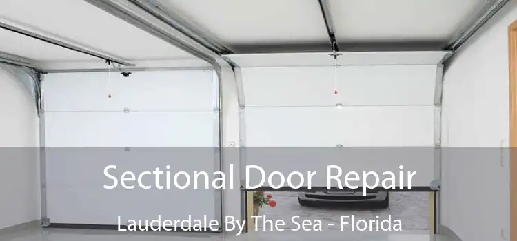 Sectional Door Repair Lauderdale By The Sea - Florida