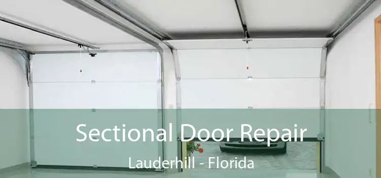 Sectional Door Repair Lauderhill - Florida