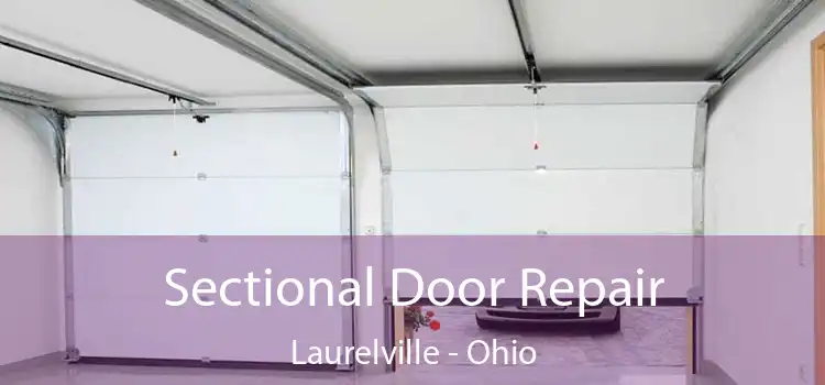 Sectional Door Repair Laurelville - Ohio