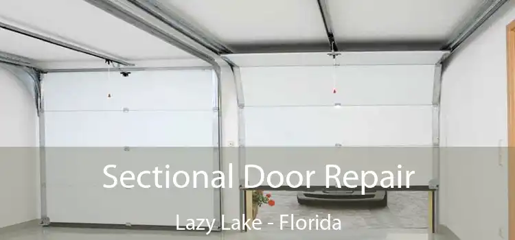 Sectional Door Repair Lazy Lake - Florida