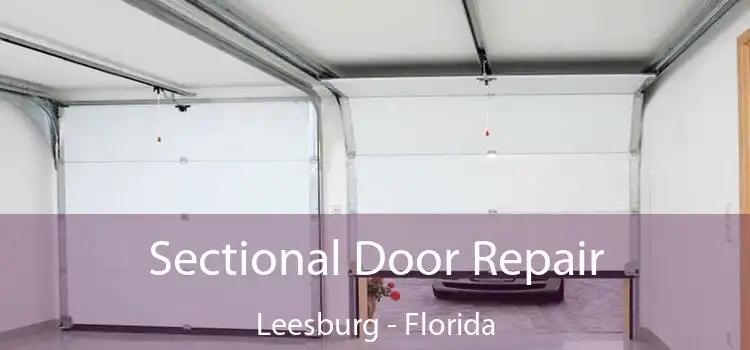 Sectional Door Repair Leesburg - Florida