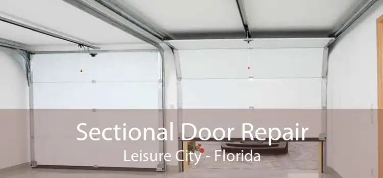 Sectional Door Repair Leisure City - Florida