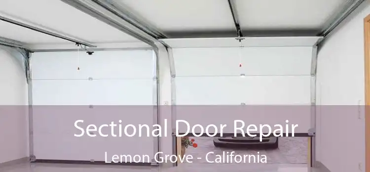 Sectional Door Repair Lemon Grove - California