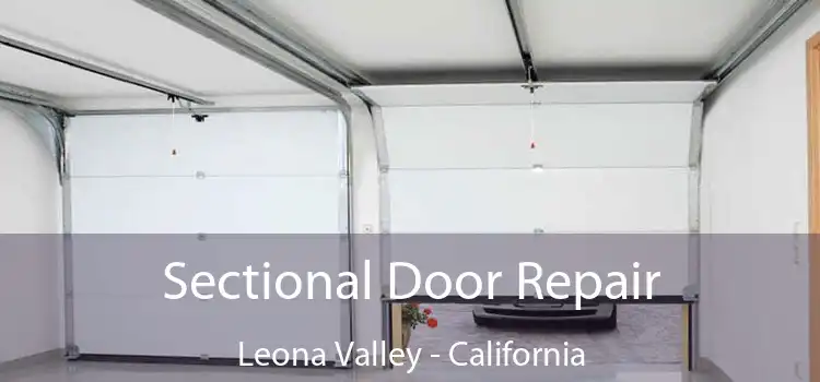 Sectional Door Repair Leona Valley - California