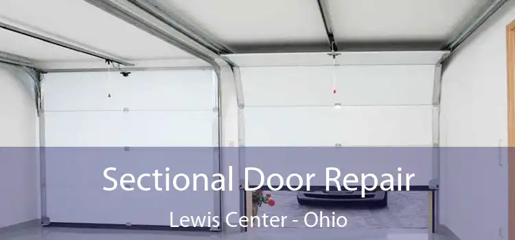 Sectional Door Repair Lewis Center - Ohio