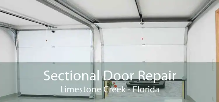 Sectional Door Repair Limestone Creek - Florida