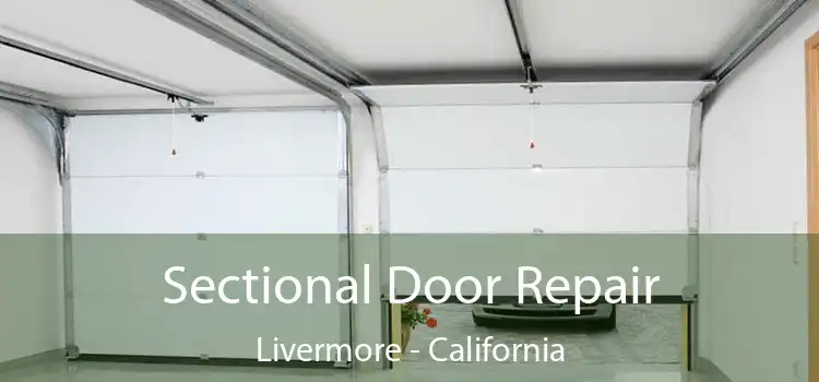 Sectional Door Repair Livermore - California