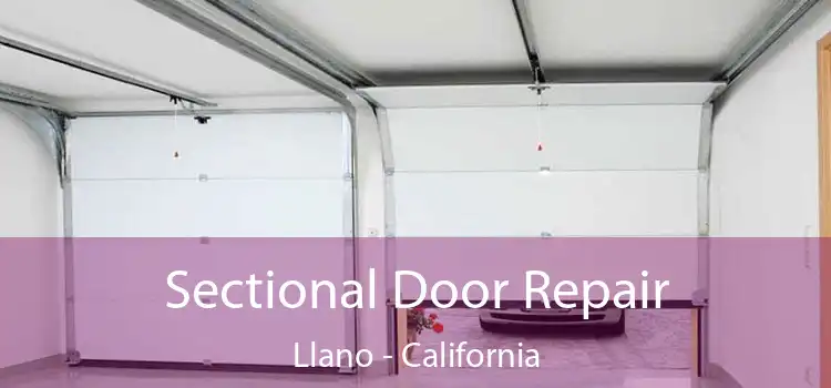 Sectional Door Repair Llano - California