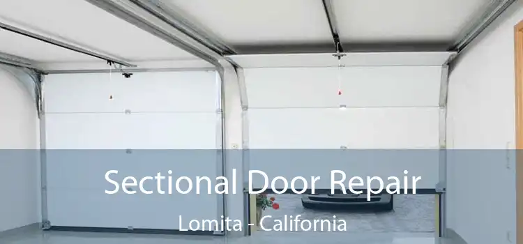 Sectional Door Repair Lomita - California