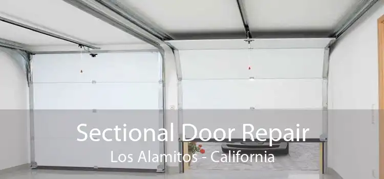 Sectional Door Repair Los Alamitos - California