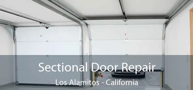 Sectional Door Repair Los Alamitos - California