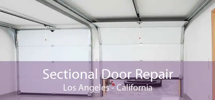 Sectional Door Repair Los Angeles - California