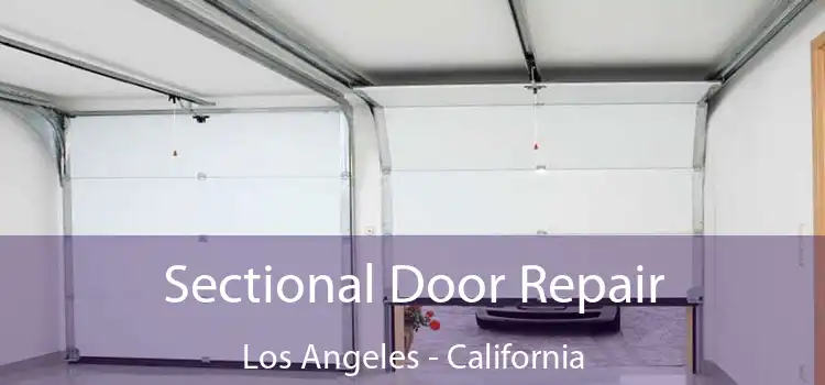 Sectional Door Repair Los Angeles - California