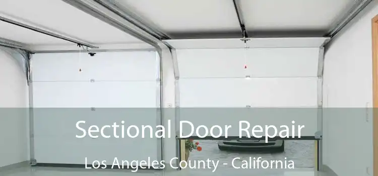 Sectional Door Repair Los Angeles County - California