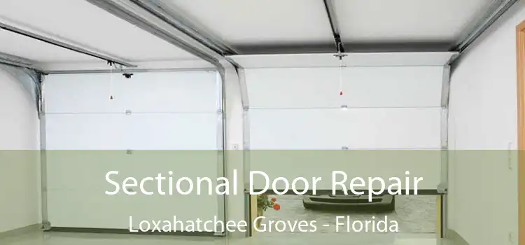 Sectional Door Repair Loxahatchee Groves - Florida