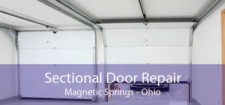 Sectional Door Repair Magnetic Springs - Ohio