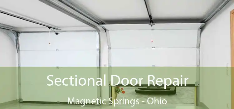 Sectional Door Repair Magnetic Springs - Ohio