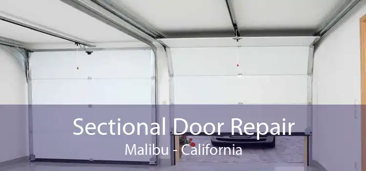 Sectional Door Repair Malibu - California