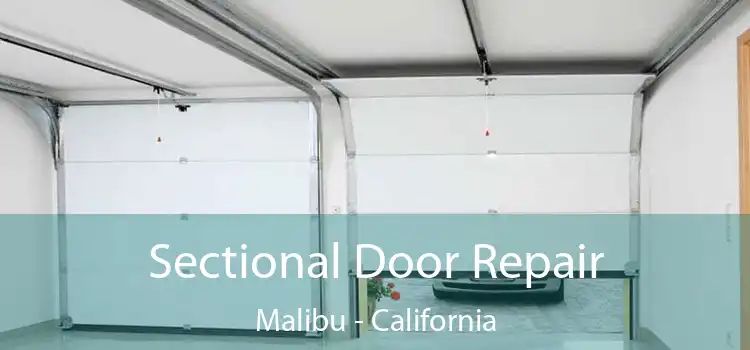 Sectional Door Repair Malibu - California