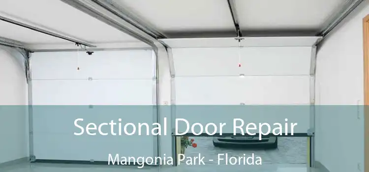 Sectional Door Repair Mangonia Park - Florida