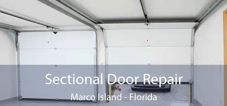 Sectional Door Repair Marco Island - Florida