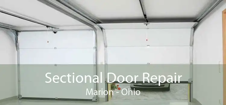Sectional Door Repair Marion - Ohio