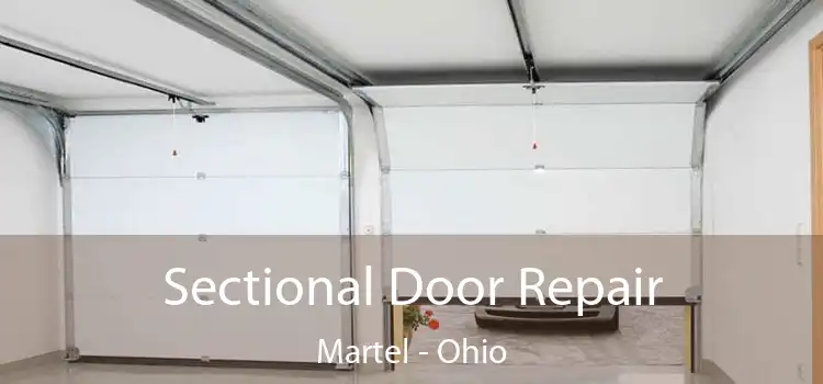 Sectional Door Repair Martel - Ohio