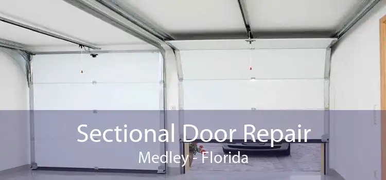 Sectional Door Repair Medley - Florida