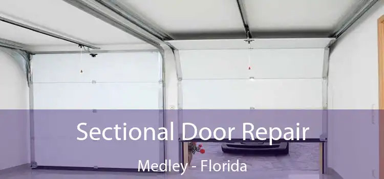 Sectional Door Repair Medley - Florida