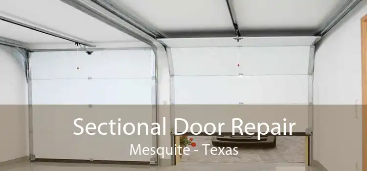Sectional Door Repair Mesquite - Texas