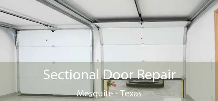 Sectional Door Repair Mesquite - Texas