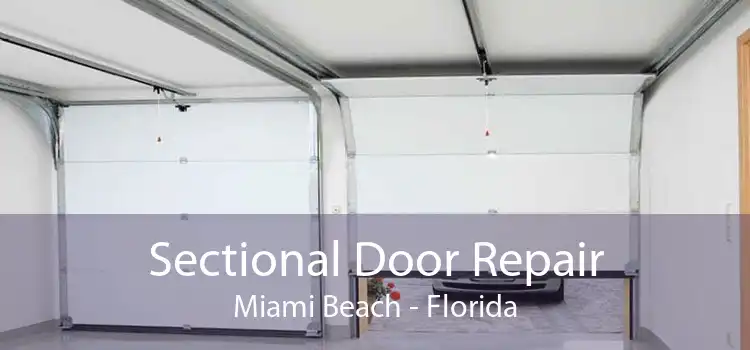 Sectional Door Repair Miami Beach - Florida