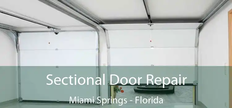 Sectional Door Repair Miami Springs - Florida