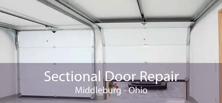 Sectional Door Repair Middleburg - Ohio
