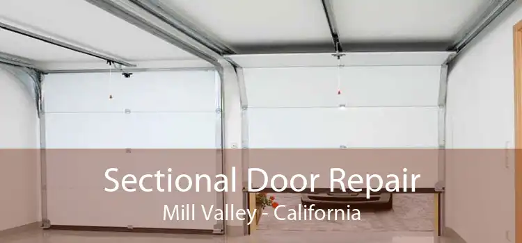 Sectional Door Repair Mill Valley - California