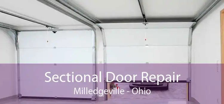 Sectional Door Repair Milledgeville - Ohio