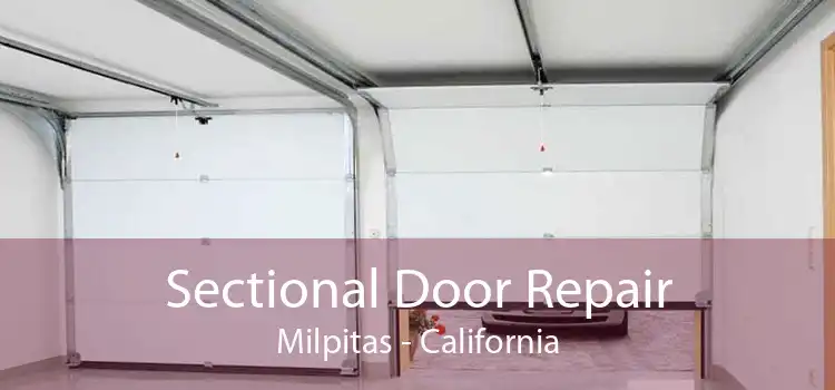 Sectional Door Repair Milpitas - California