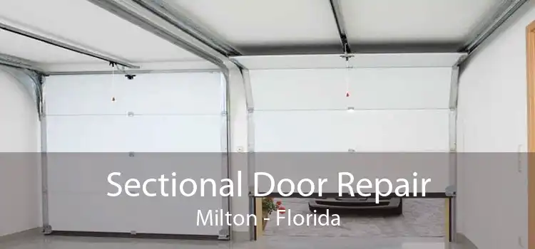 Sectional Door Repair Milton - Florida