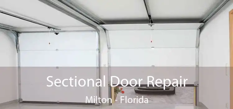 Sectional Door Repair Milton - Florida