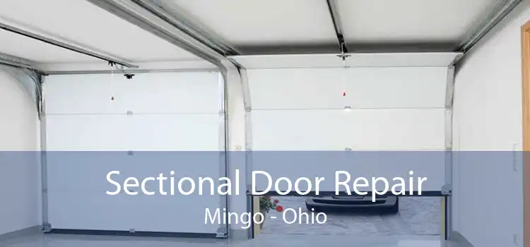 Sectional Door Repair Mingo - Ohio