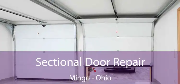 Sectional Door Repair Mingo - Ohio